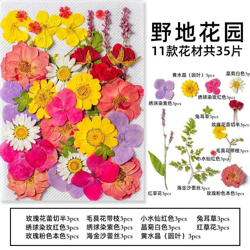 Set di 35 Pezzi (10 Set) di Fiori Secchi e Foglie Naturali Pressate per Riempimento di Stampi in Resina, Creazione di Cover per Telefoni, Decorazioni e Candele Profumate