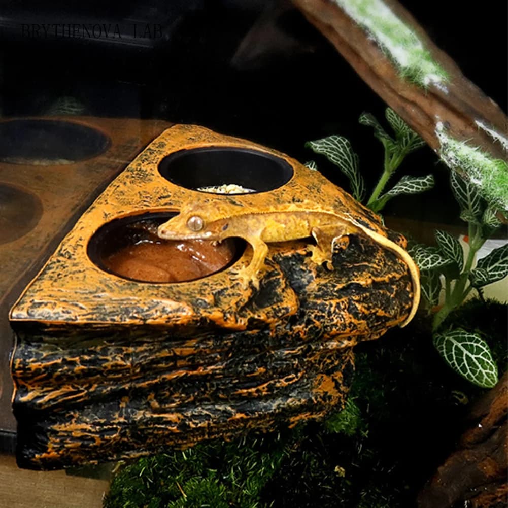 Reptile Feeding Bowl Magnetic Hanging Reptile Food Dish Reptile Water Ledge Feeder Bowl for Gecko Lizards Tree Frogs Pet
