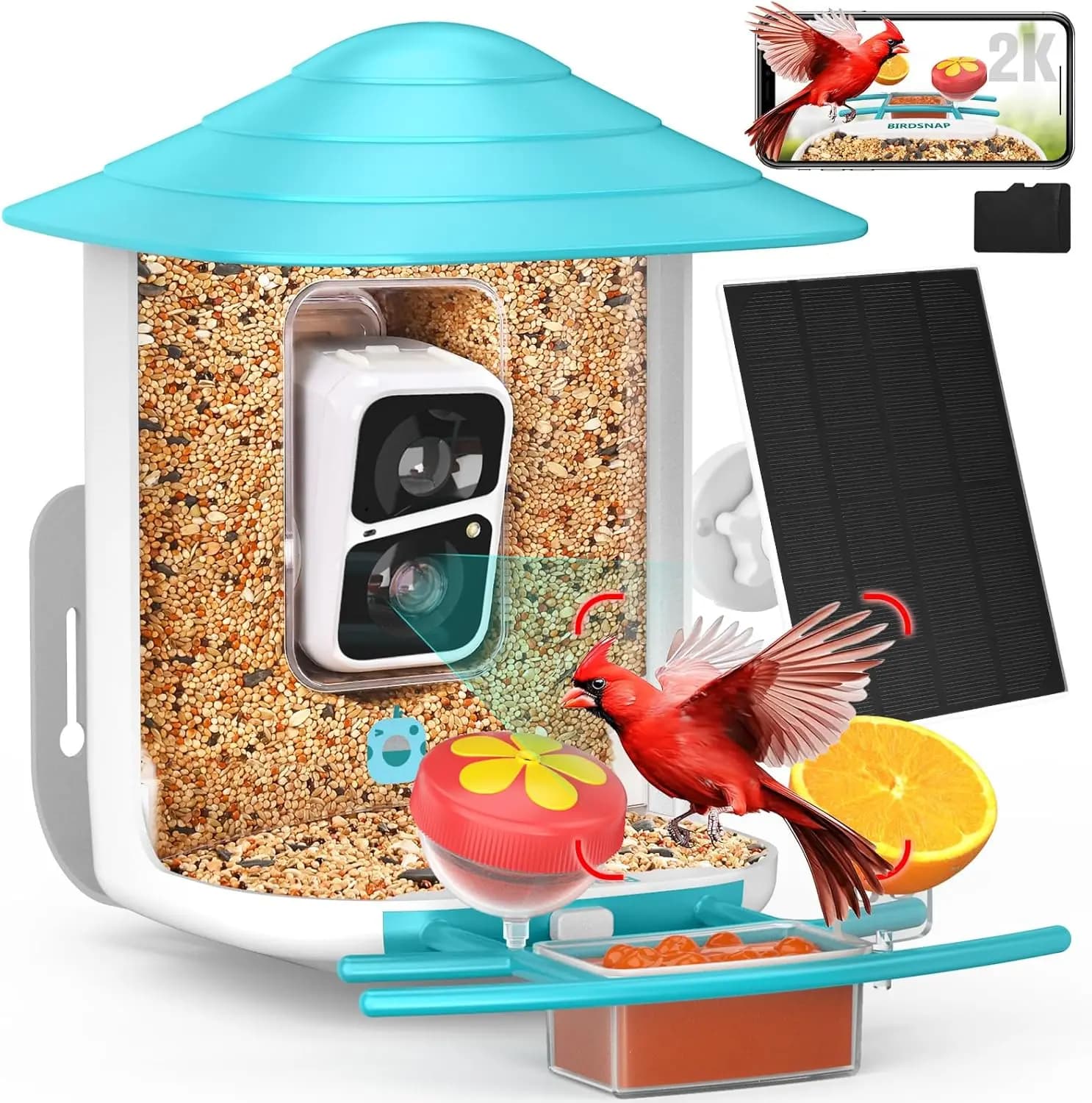 Telecamera per Alimentatore Uccelli 2K HD con Pannello Solare, Scheda da 32GB, Rilevamento Automatico e Identificazione AI, Regalo Wireless per Amanti degli Uccelli