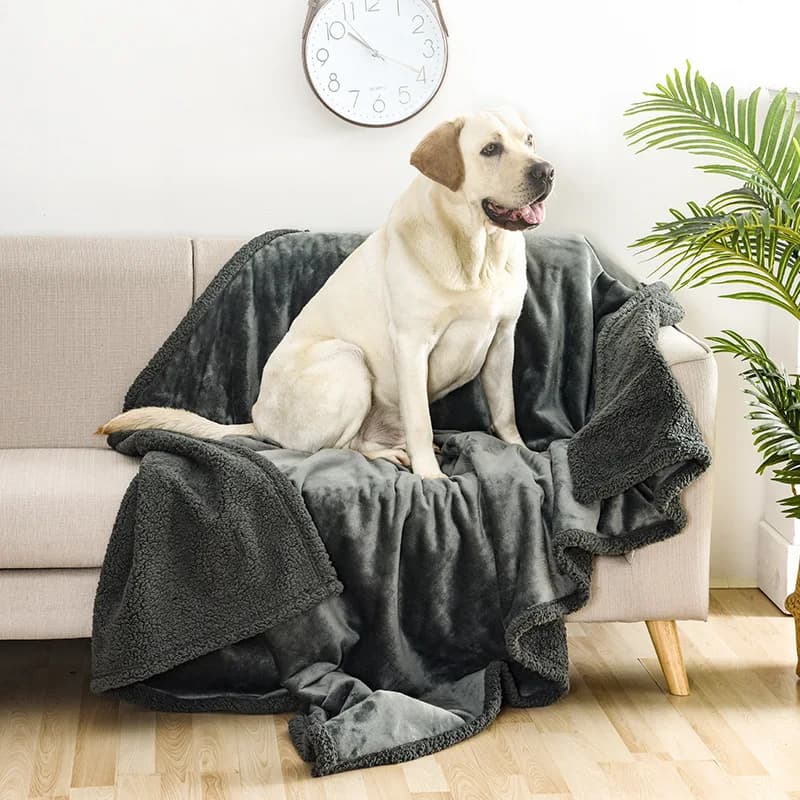 Coperte per cani in tinta unita pelose addensate Coperta per gatti di grandi dimensioni impermeabile calda e accogliente di lusso per accessori per divani letto Perros