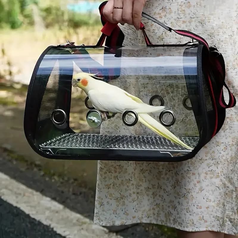 Borsa da viaggio per pappagalli leggera con trespolo per parrocchetto Cockatiel Travel Rats Bunny Small Animal Portable Pet Backpac