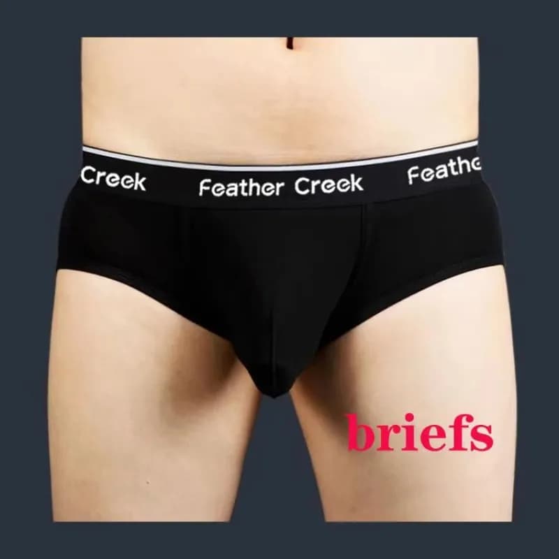 Mens Sexy Large Pouch Underwear U Convex Bulge Enhancing Seamless Low Rise Cotton Briefs Breathable Boxer Shorts Comfort Plus Up
