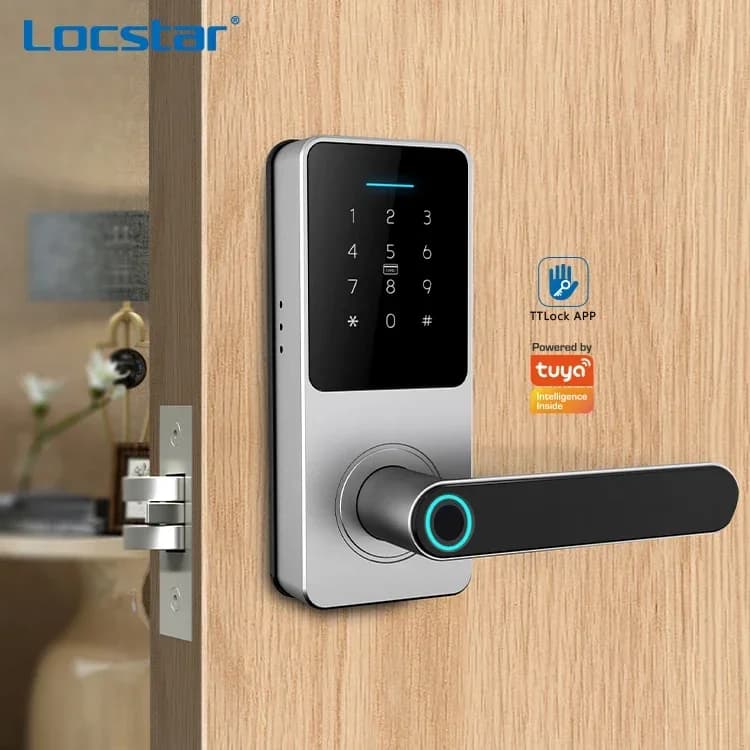 Locstar Single Latch Smart Tastiera elettronica Tuya Smart Lock con maniglia per la sicurezza domestica