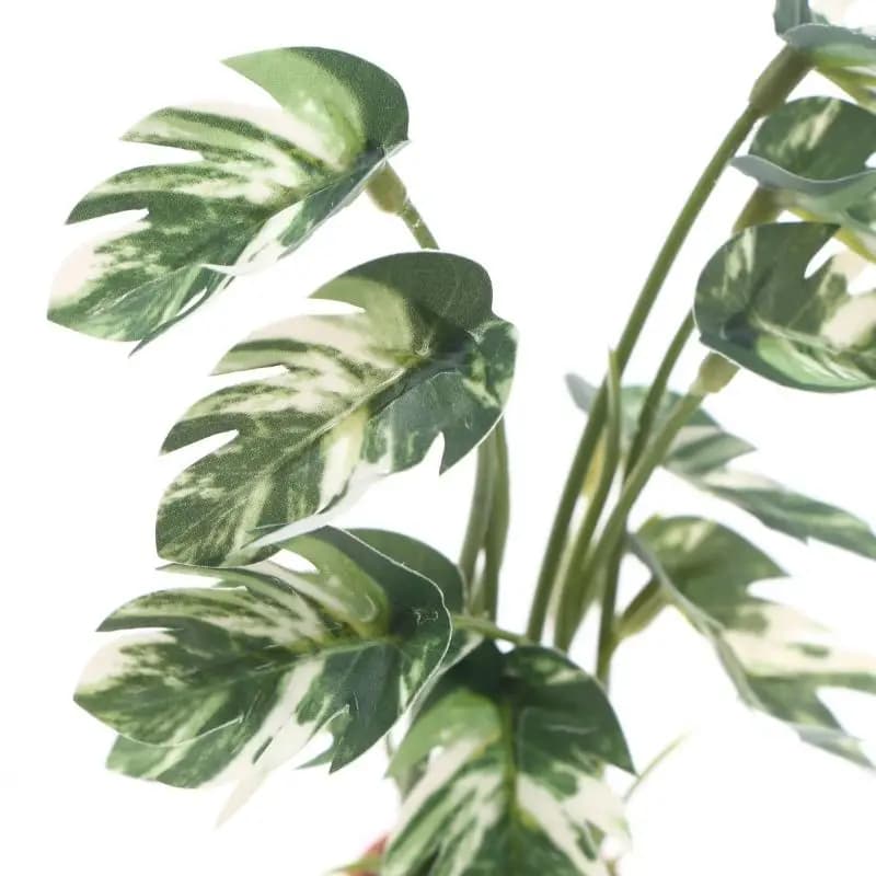 Modello di Bonsai in Miniatura con Pianta Verde Monstera per Casa delle Bambole 1/12