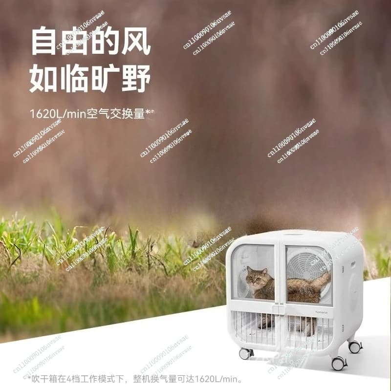 Asciugacapelli automatico per animali domestici PD135, per cani e gatti, con funzione di asciugatura a vapore