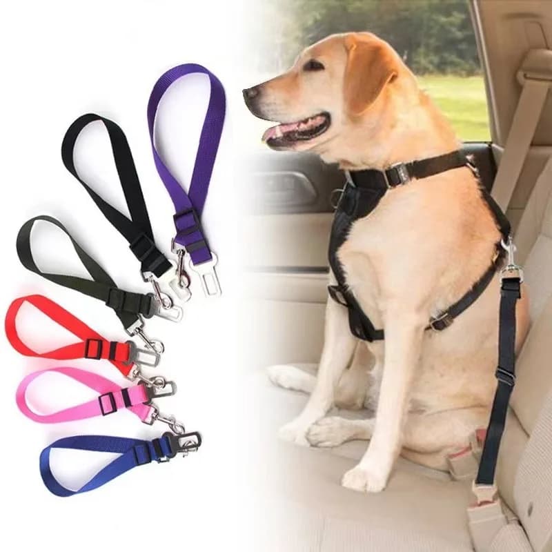 Cintura di Sicurezza per Animali Domestici, Regolabile, per Auto, Guinzaglio per Cani e Gatti, Accessorio da Viaggio