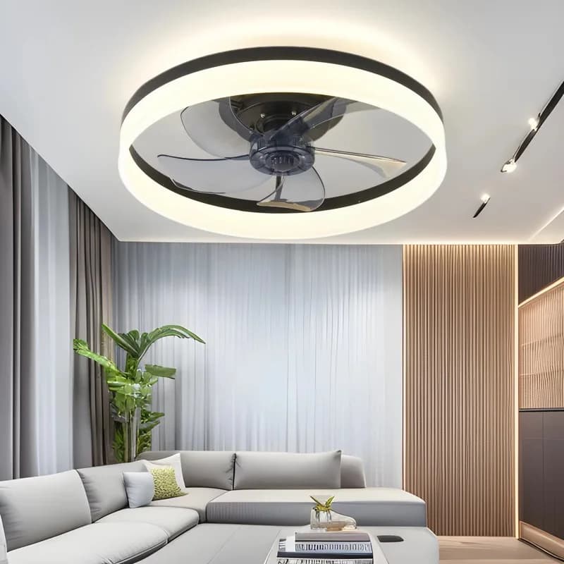 Ventilatore da soffitto intelligente con luce LED 50CM Acrilico telecomando decorazione camera da letto ventilatore di ventilazione interno Ventilatore elettrico sala da pranzo