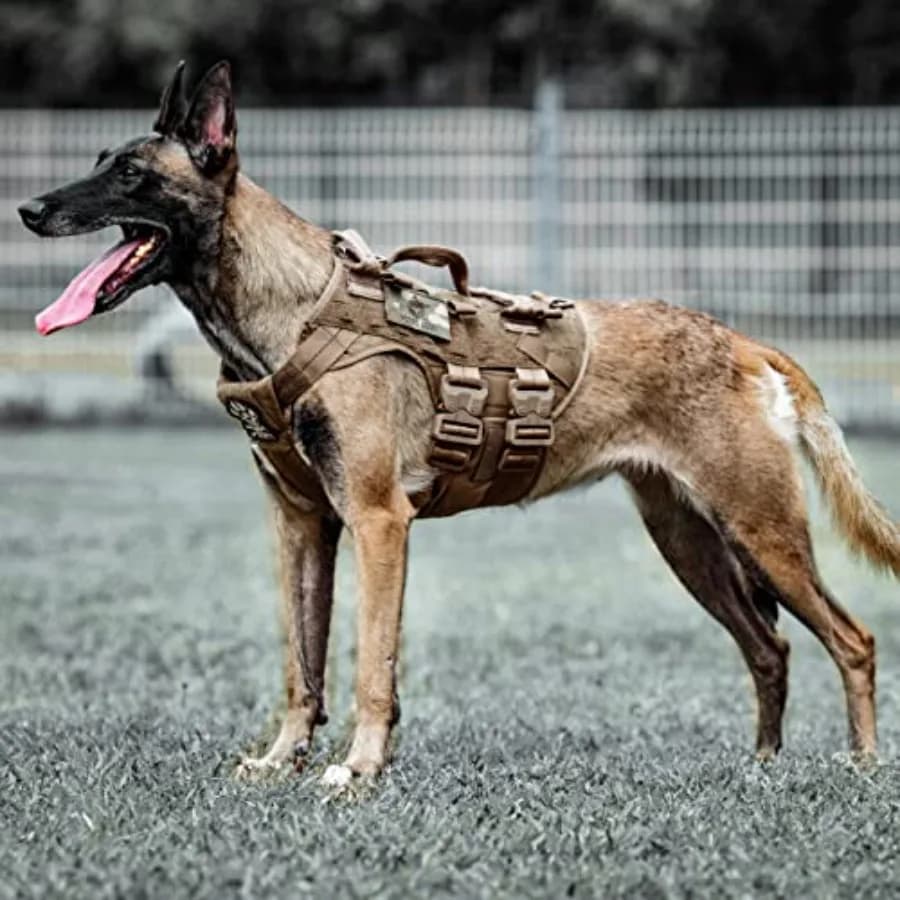Imbracatura Tattica per Cani K9, Gilet da Addestramento Regolabile e Imbottito per Cani di Servizio, Gilet MOLLE per Cani di Taglia Media e Grande