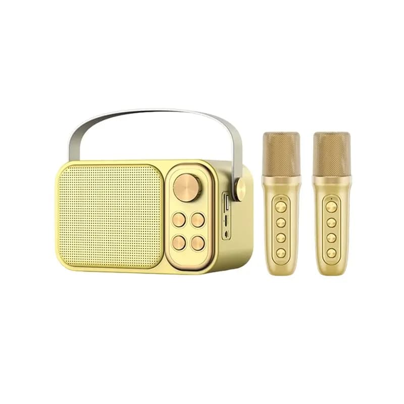 Sistema di altoparlanti portatile per karaoke Bluetooth con 2 microfoni wireless, regalo per la famiglia e per bambini