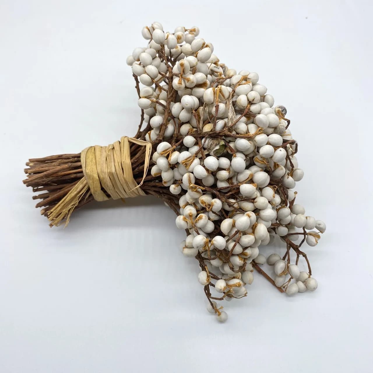 Piccoli oggetti di scena da tiro con bouquet cinese alto e frutta bianca e essiccata per Natale