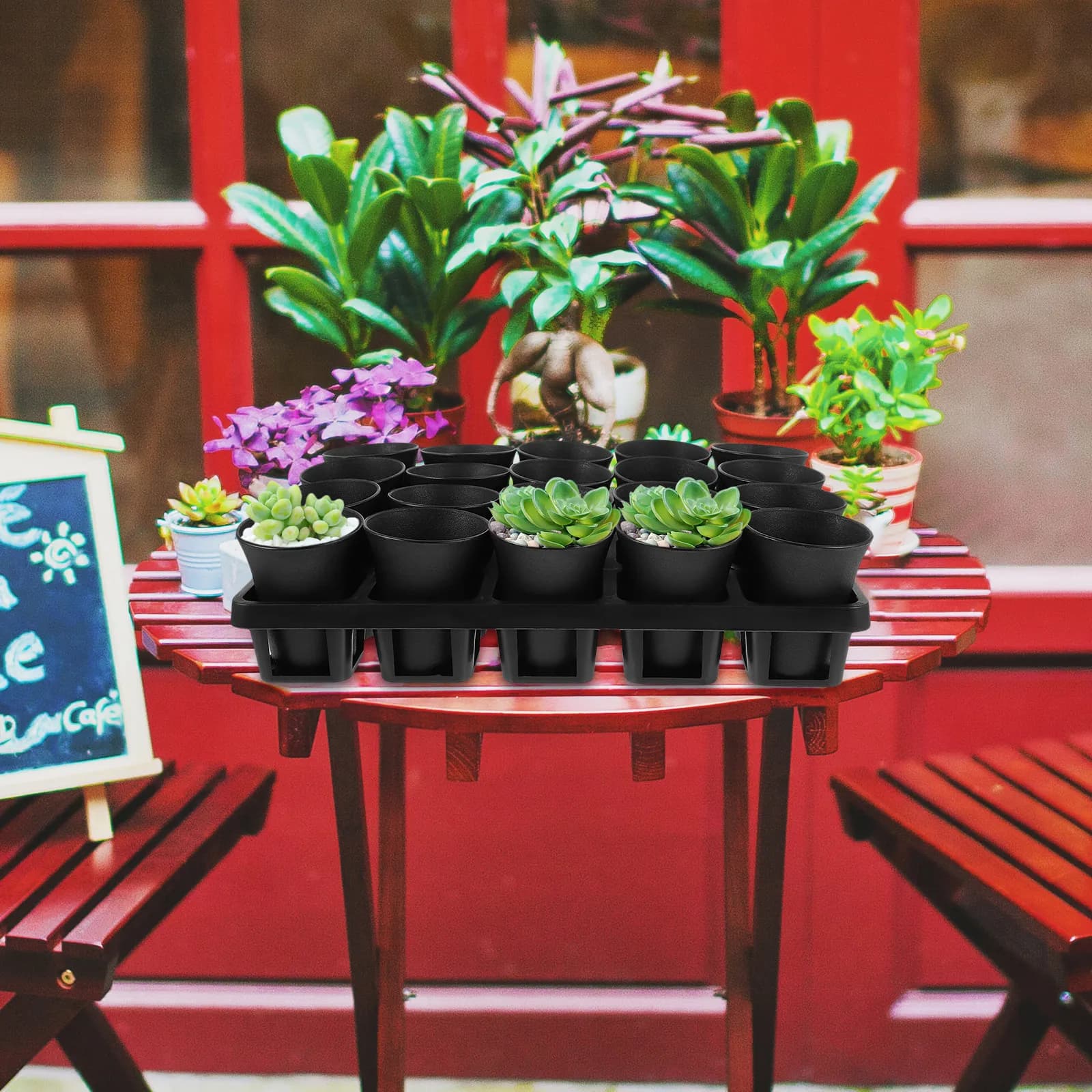 Set di 1 Vaso in Plastica per Piante Grasse con Coperchio per Germinazione Semi e Crescita Piante - Forniture da Giardino