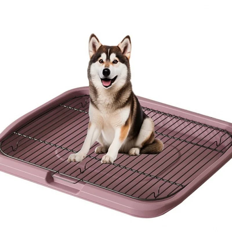 Toilette per cani extra large con rete in ferro, antispruzzo, facile da pulire, ampio spazio, adatta per cani di piccola e media taglia