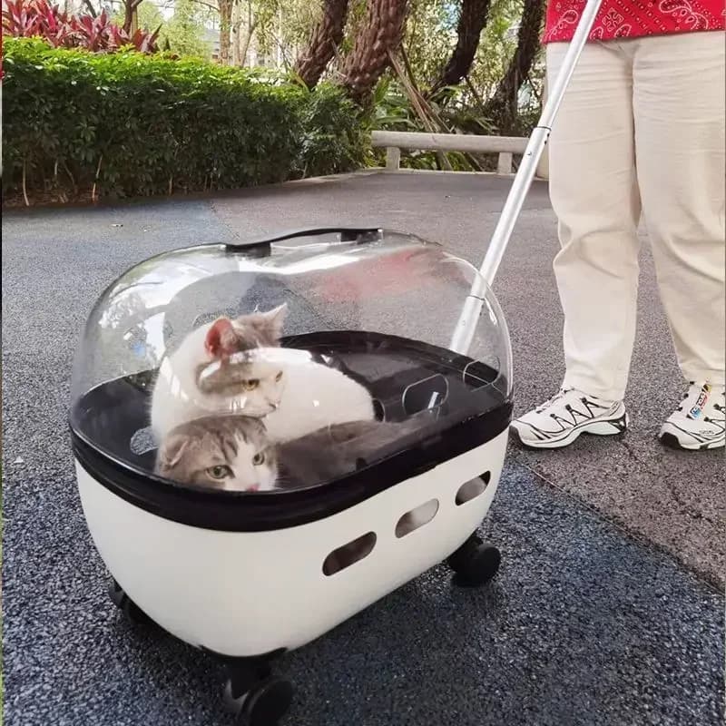 Valigie Zaino per gatti Borsa per animali domestici Forniture per gatti Borsa da viaggio per gatti Porta spazio Gabbia per animali Bagagli da trasporto con ruote da viaggio
