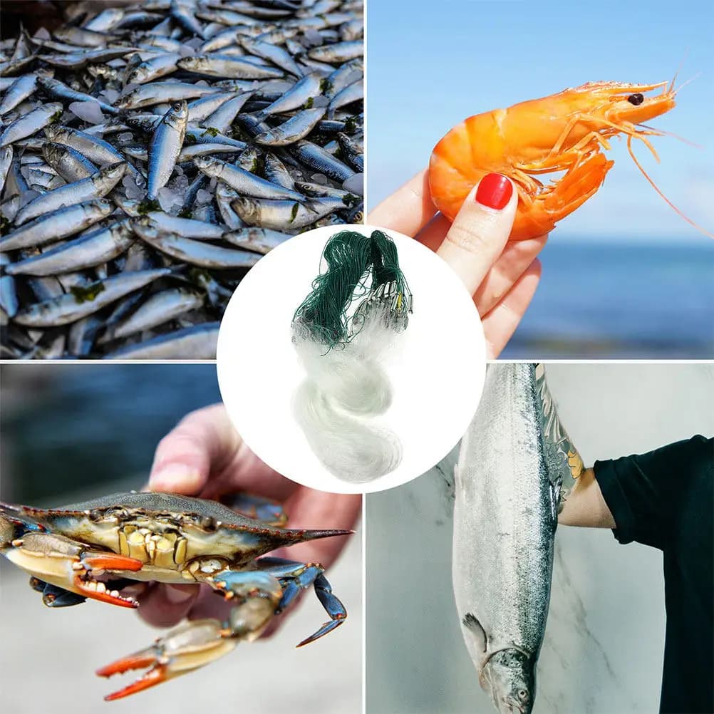 Rete da Pesca a Singolo Strato Facile da Pulire, Dimensioni della Maglia Ottimizzate, Rete da Lancio per Esterni, Trappola per Pesci Leggera e Portatile