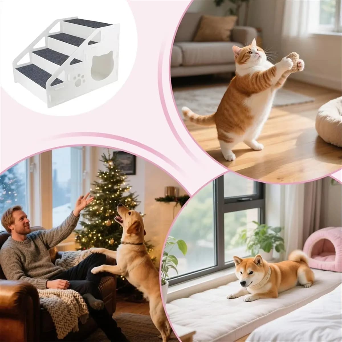 Gradini per animali domestici Scale per animali antiscivolo Giocattolo Scaletta per cuccioli a 3 gradini per divano letto alto Area di gioco Gatti cani di taglia piccola, media e grande