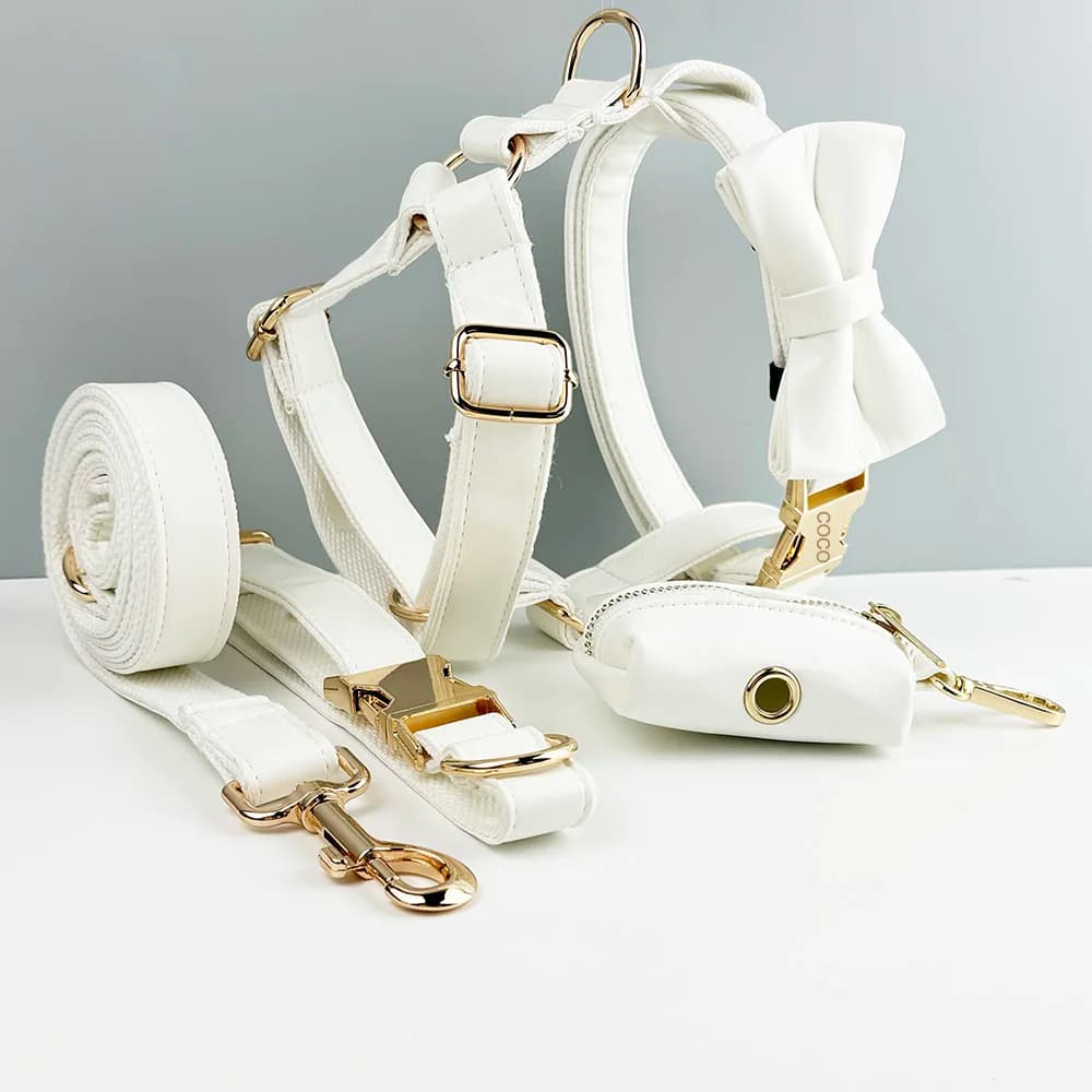 Collare e guinzaglio per cani in pelle bianca per cani targhetta con incisione personalizzata forniture per animali domestici guinzaglio per cani PU01