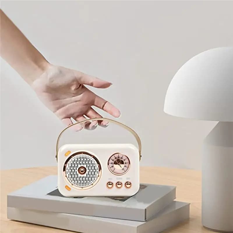 AABFK Altoparlante Bluetooth portatile con set di microfoni, altoparlante Bluetooth vintage con macchina per karaoke domestica (bianco)