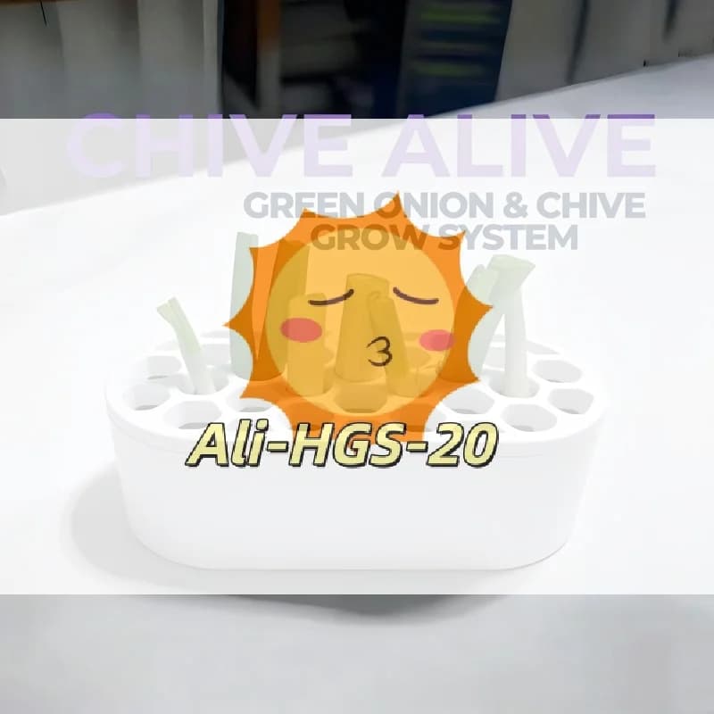 Innovative Water Reservoir Plastic Planting Pots for Efficient Home Hydroponic Systems