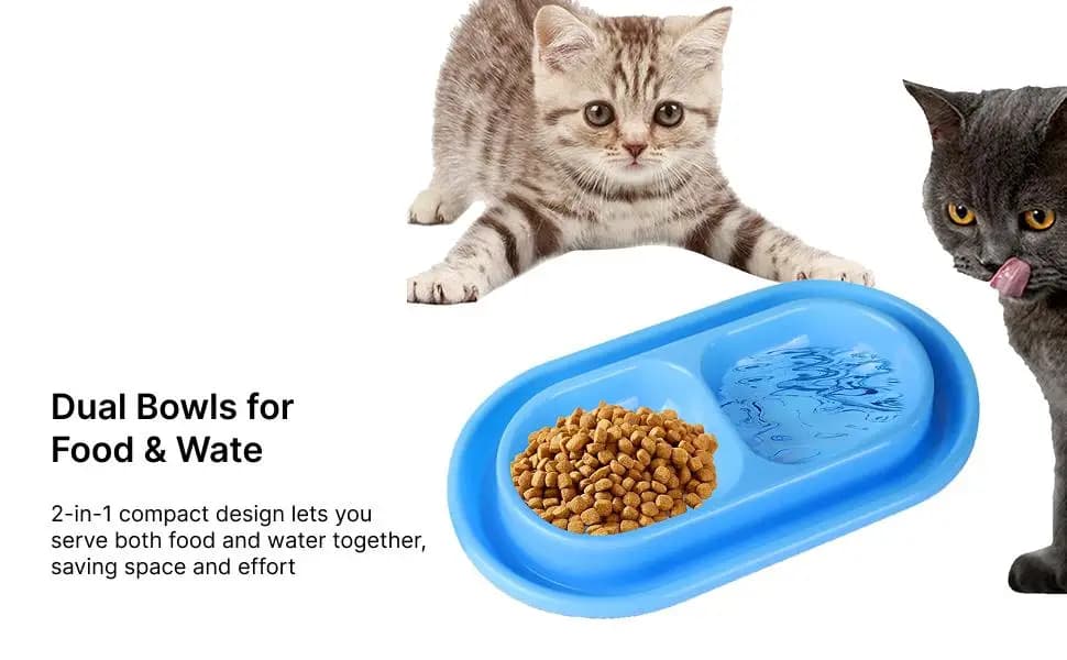 Double Cat Food Bowls Ants Away Moat Plastic Pet Feeding Station Set for Kittens and Small Dog Drinking