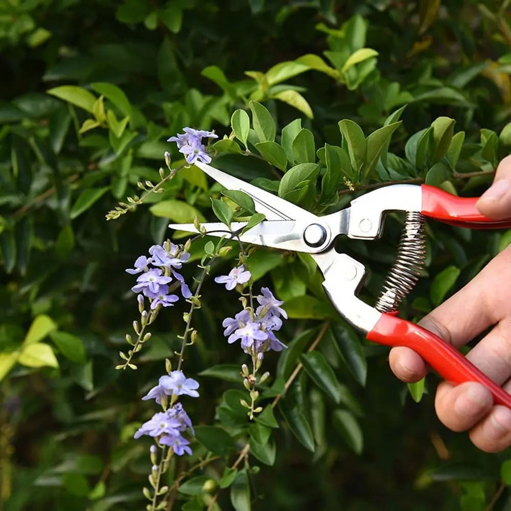 Forbici da Potatura in Acciaio Inox con Punta Micro per Giardino e Frutteto, Cesoie da Giardinaggio