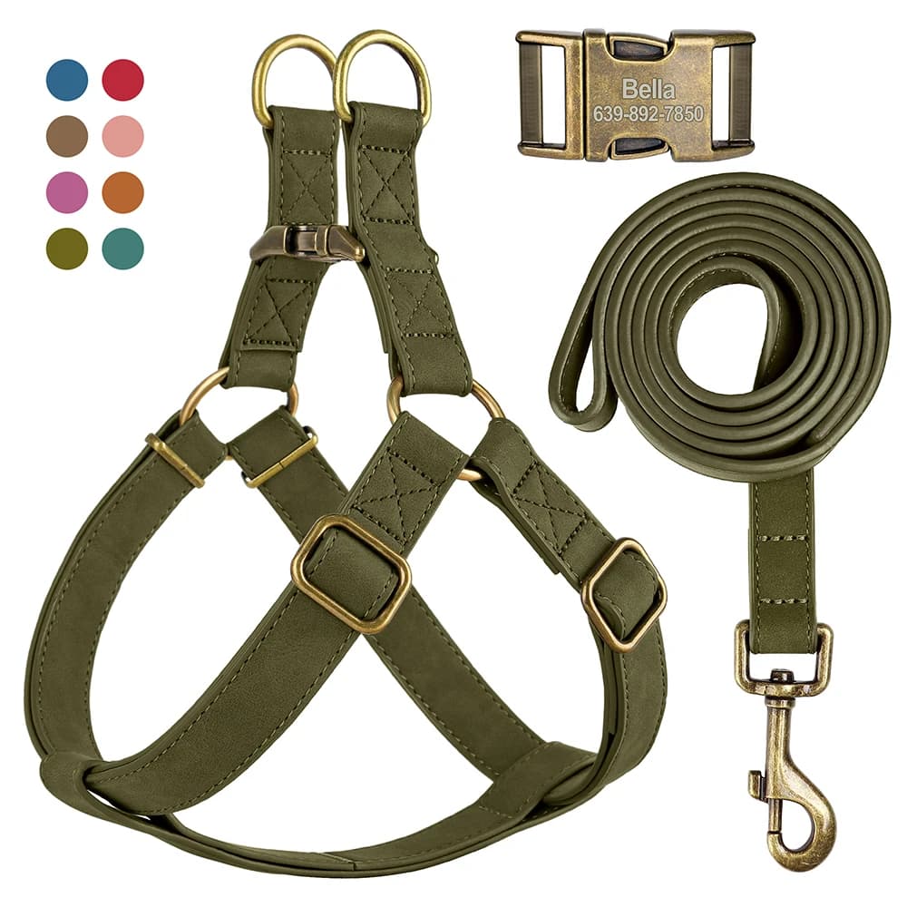 Set di guinzagli per cani personalizzati gratuiti Set di guinzagli per cani in pelle PU Collana con fibbia ID incisa per cani di piccola taglia, media e grande Pitbull