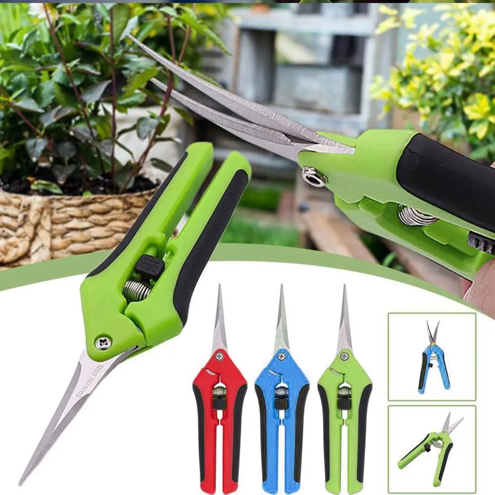 Forbici da Potatura per Giardino, Cesoie per Raccolta Frutta, Forbici di Precisione per Fiori, Tronchesi per Viti e Bonsai, Utensili Manuali per Giardinaggio