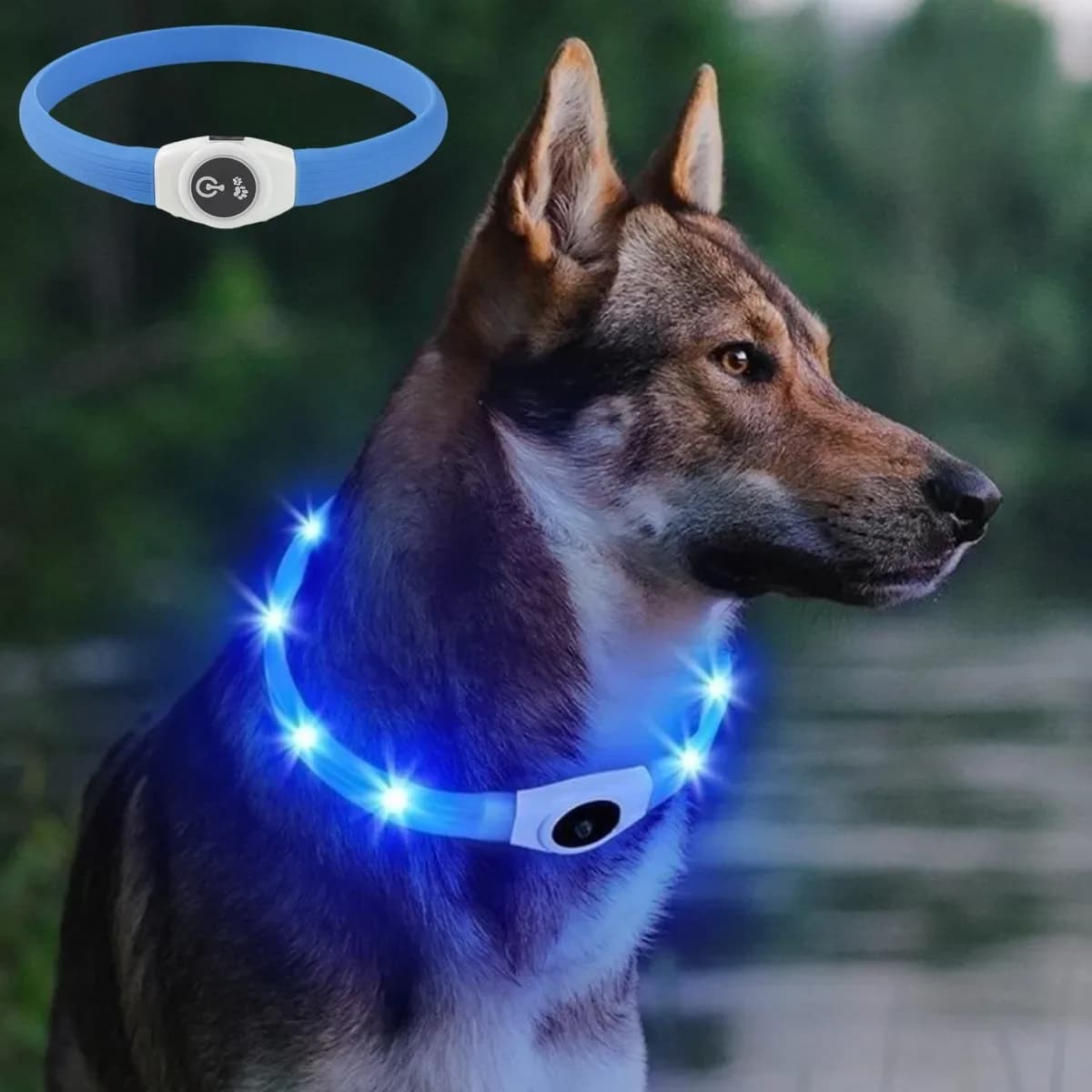 Nuovo collare per cani luminoso a led in PVC impermeabile, per collare per cani di taglia grande, media e piccola, luce USB, accessori luminosi per animali domestici di sicurezza notturna