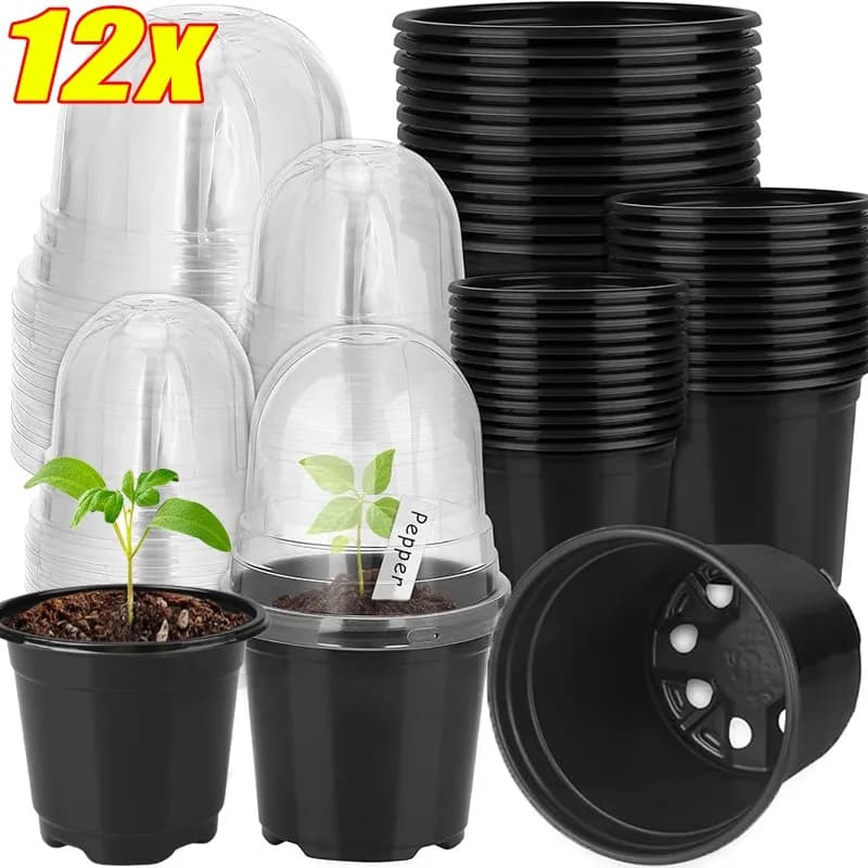 3/12pcs Plant Vivary Vases Seeds Starting Growing Nutrition Cup Flower Plant Plant Container Garden Mini Jar Flowers Tools Home Garden