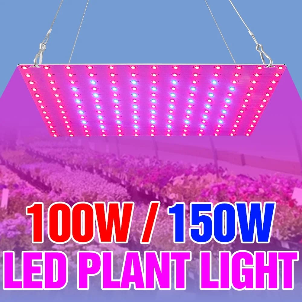 Complete LED Display Lamp 150W AC180-240V, Seeds, Serre, Ortaggi e Fiori da Interno
