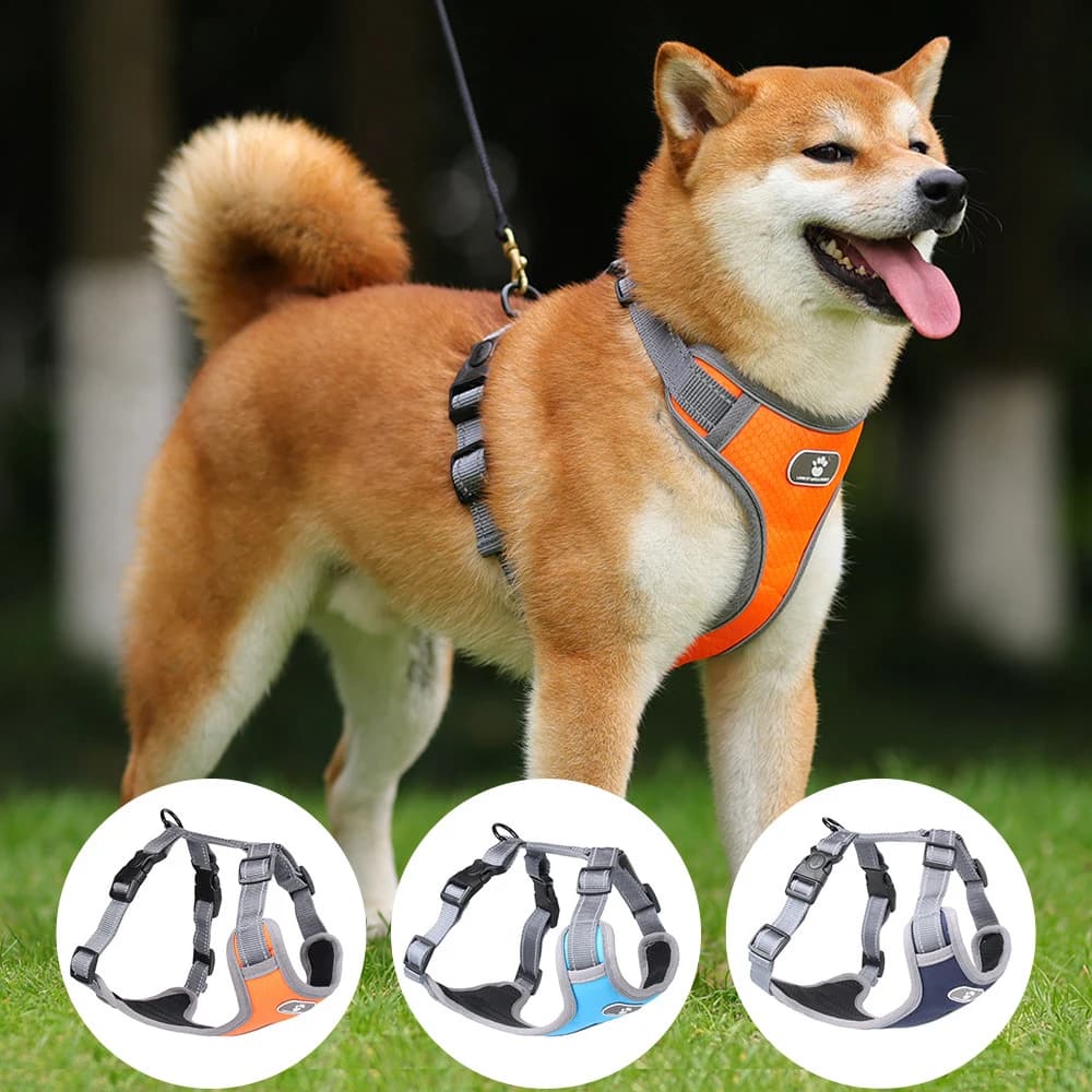 Imbracatura Piombo Cane Bulldog Cucciolo di Animale Domestico Collare Antipioggia Riflettente Pettorine Medio Grande Cane Oxford Panno Gilet Camminare Cane Labrador