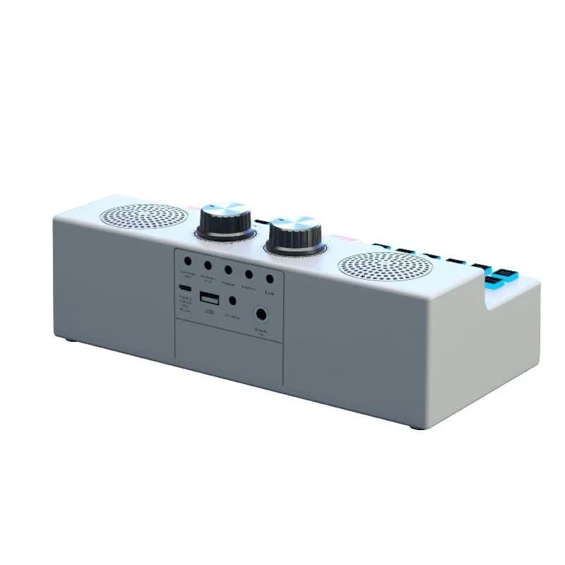 Scheda audio stereo per karaoke, dispositivo audio stereo per karaoke domestico e all'aperto