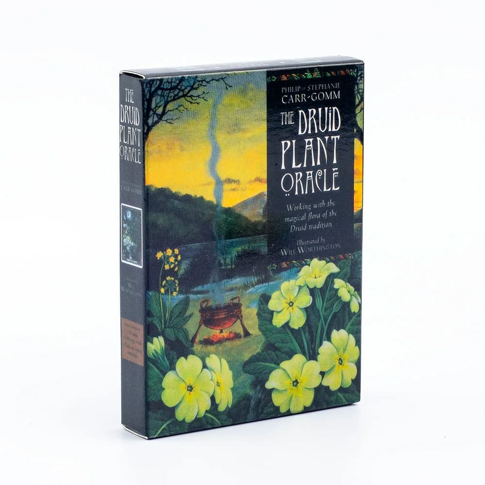 The Druid Plant Oracle Mazzo da 39 carte Flora magica della tradizione druida Bellissime illustrazioni Gioco da tavolo per divinazione
