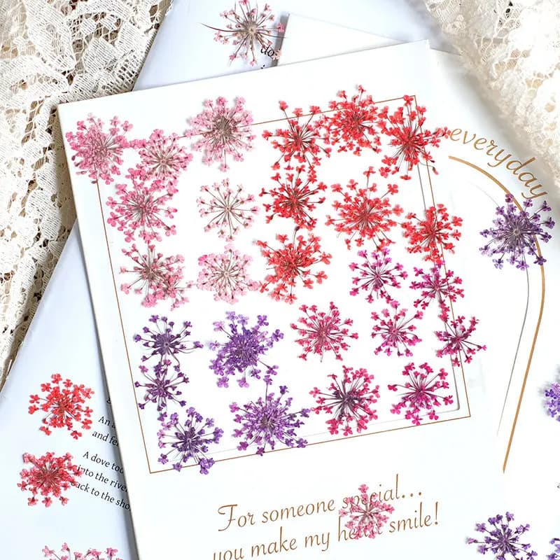 24 pezzi, 2-2,5 cm, petali di fiori pressati in pizzo tinto naturalmente, fiori secchi per nail art, resina, gioielli, decorazioni floreali, cornici per foto