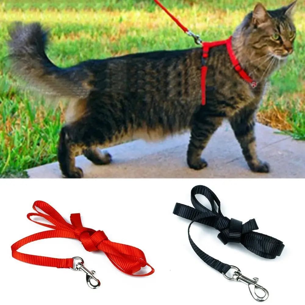 Corda per gatti Guinzaglio per trazione per cuccioli Corda per gattini Trazione per animali domestici Collare per gattini Corda Imbracatura in nylon Corda per animali domestici Cintura regolabile per gatti