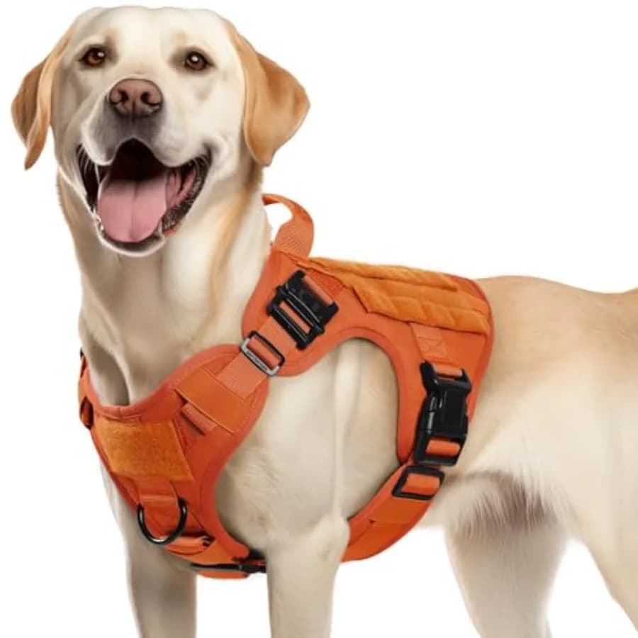 Imbracatura Tattica per Cani di Taglia Media, Resistente, con Maniglia, Gilet Antitrazione per Cani di Servizio, Regolabile per Razze Medie, Stile Militare