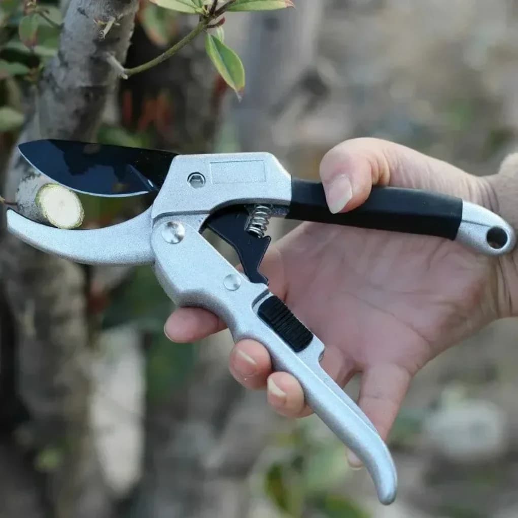 Forbici da potatura manuali da 20 mm per orticoltura, per frutteto, per arbusti e rami, con incudine
