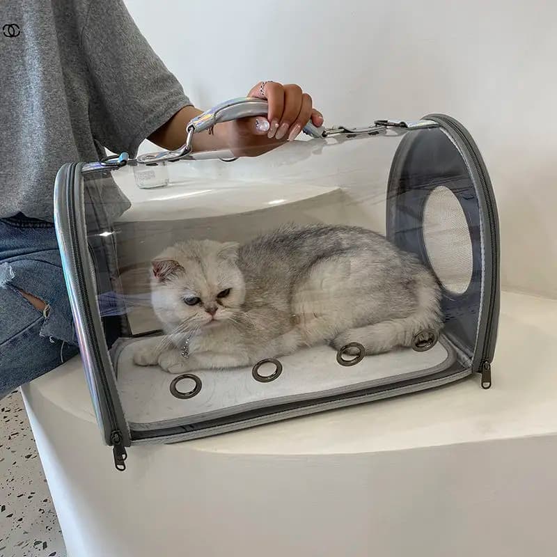 Borsa da trasporto per gatti Borsa portatile trasparente per uscire Borsa per auto Gatto Capsula spaziale traspirante Zaino per animali Messenger portatile per cani