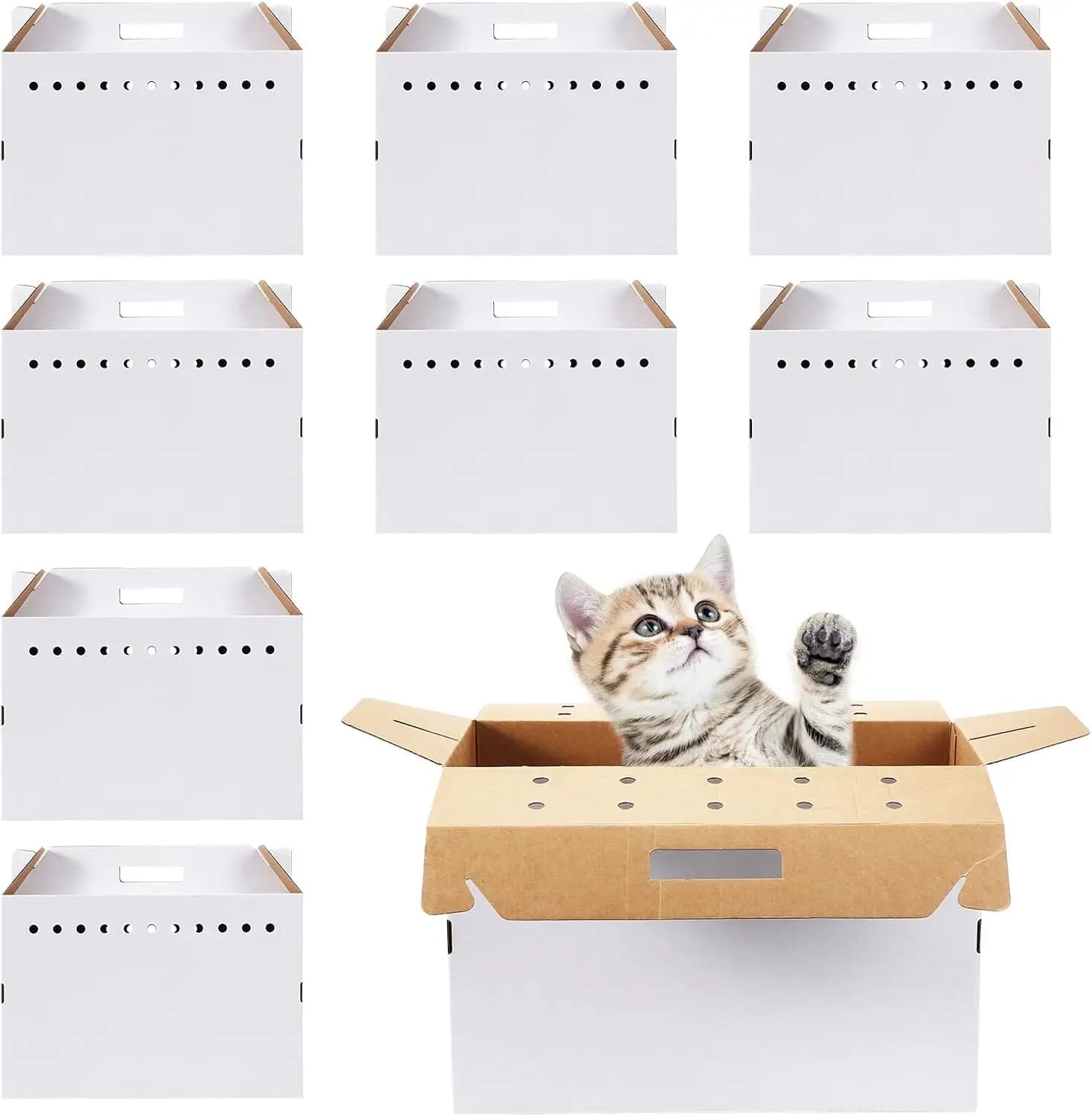 Confezione da 12 Trasportini Monouso in Cartone per Piccoli Animali, 17,5 x 8,5 x 15 Pollici