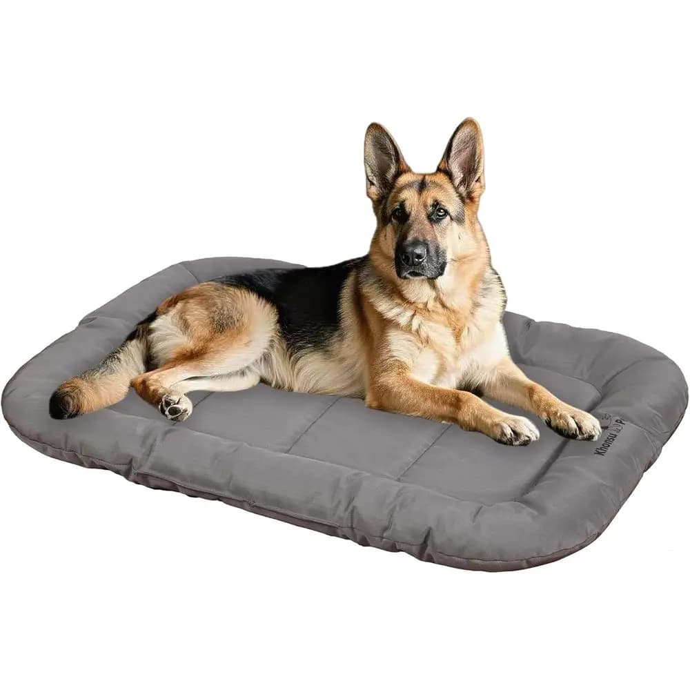Cuccia per cani resistente e impermeabile per uso intensivo, adatta a cani fino a 40 kg