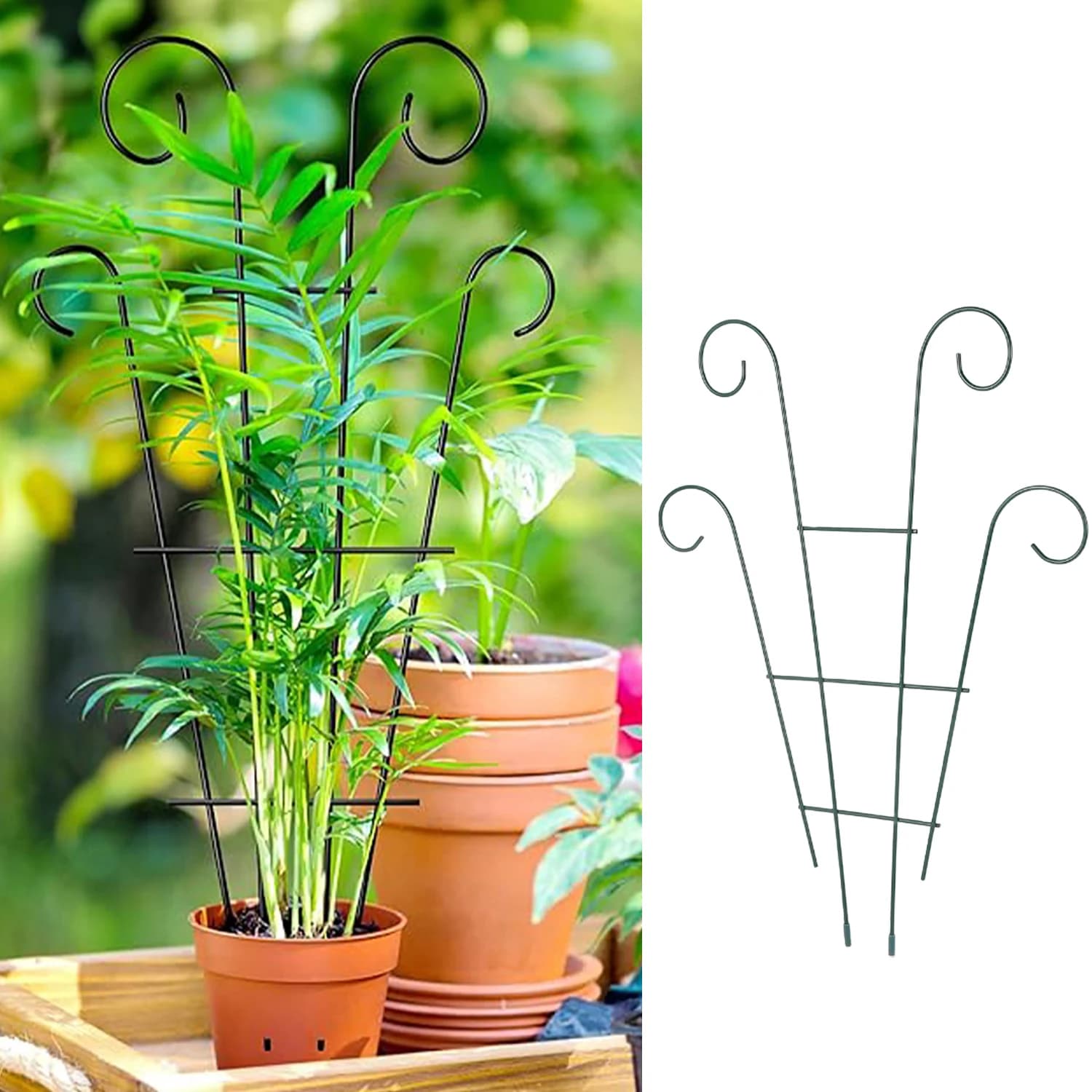 Garden Plant Support Stake Stand Vine Climbing Rack Flower Trellis Frame Potted Bonsai Fixing Rod Rose Tomato Growth Accessories