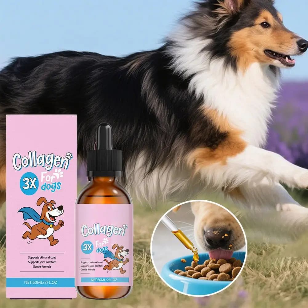 1/3/5 pieces 60ml food for metallic points based on collagen for dogs combined with nutritional suplement drops delicate formula for care of hair skin