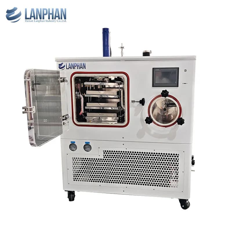 Liofilizzatore automatico compatto a risparmio energetico, liofilizzatore, controllo digitale, tappo automatico per un costo effettivo
