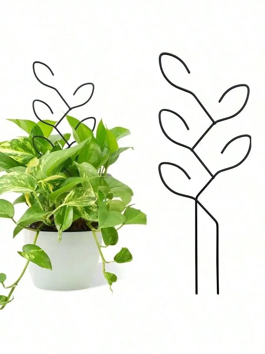 Supporto per Piante Rampicanti, 1 Pezzo, Supporto Creativo per Fiori in Vaso, Traliccio per Piante, Porta Fiori da Esterno