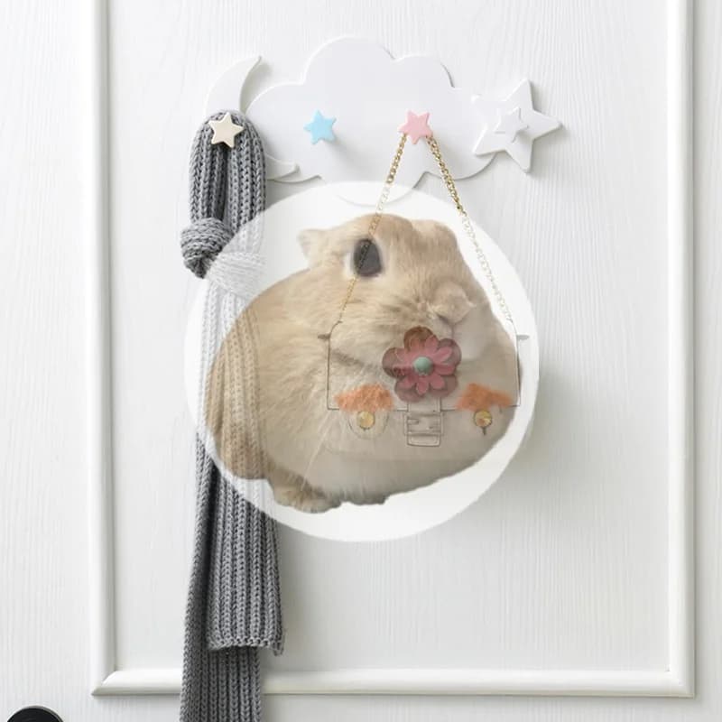 4-Hook Cartoon Star Moon Cloud Non Punching Hook Home Keychain Jewelry Bag Hanger Bathroom Bath Ball Storage Rack