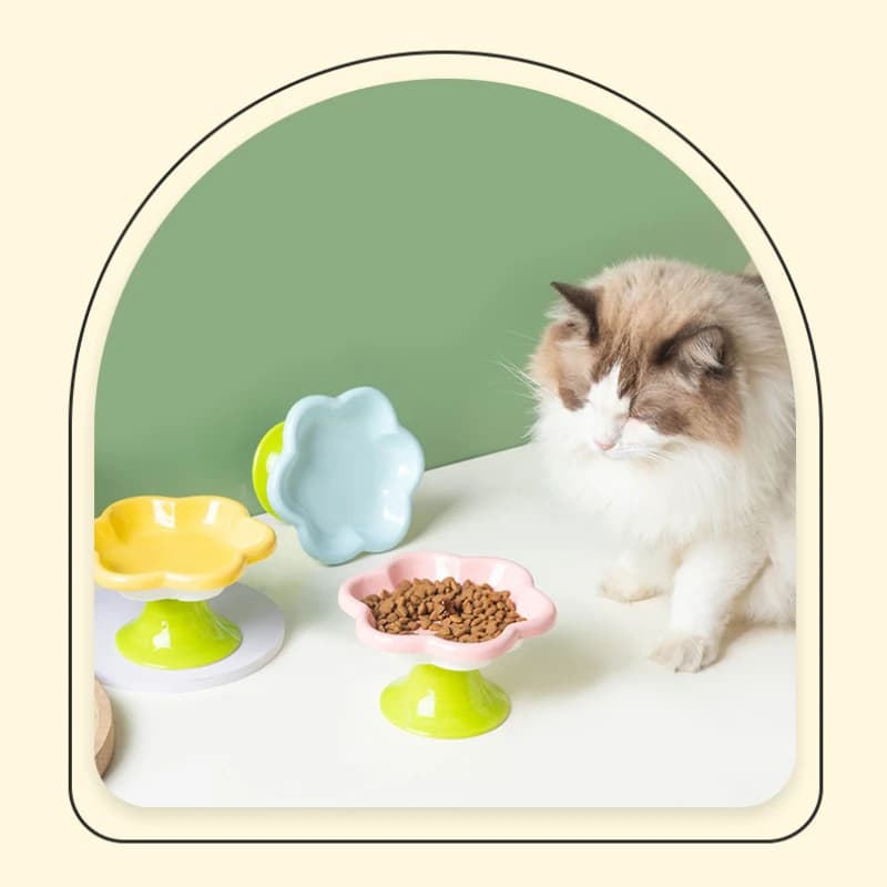 Ciotola per cibo per gatti rialzata in ceramica Design floreale posate durevoli facili da pulire per l'acqua del cibo ciotola per cani carina per la protezione del collo