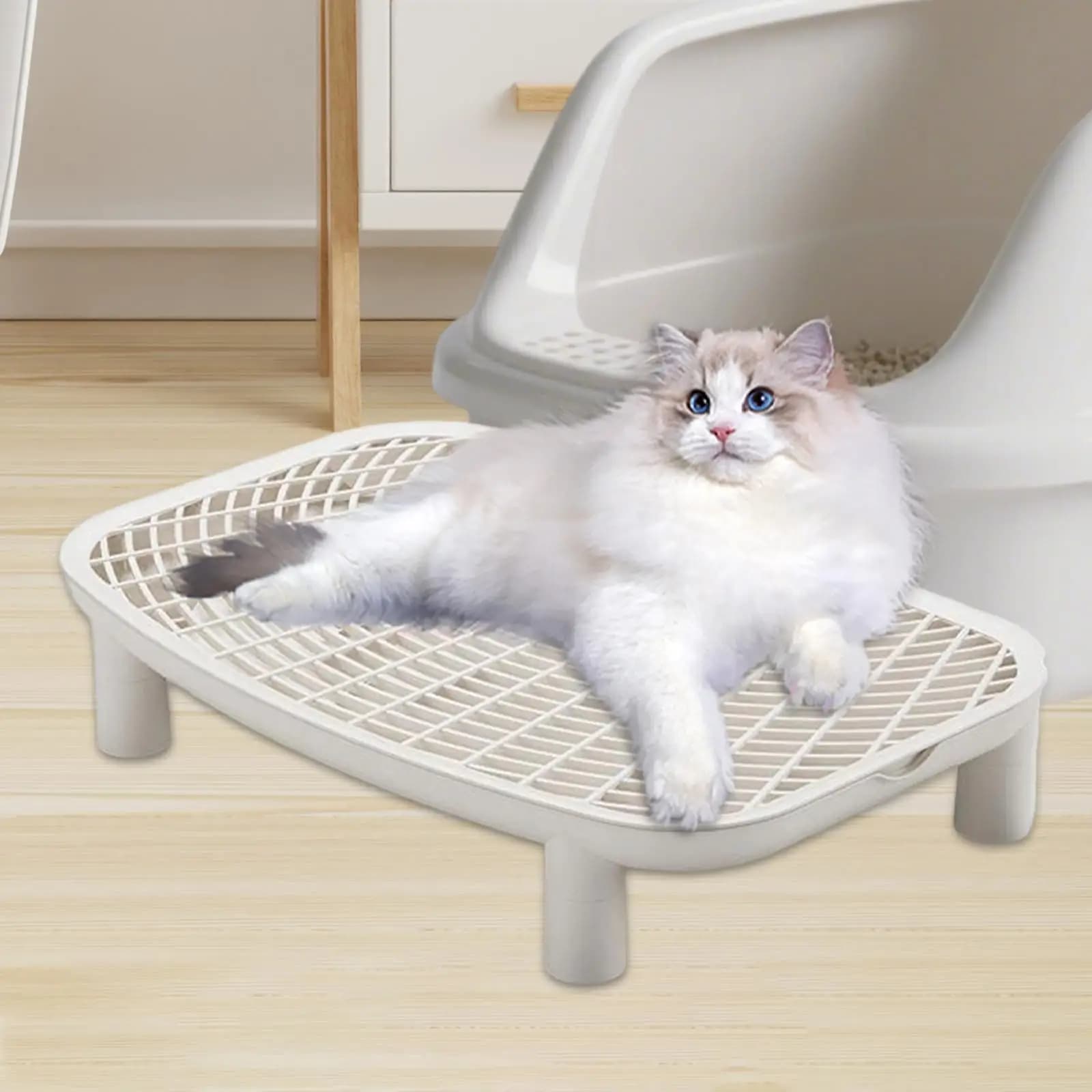 Tappetino Antiscivolo Portatile per Lettiera Gatti, Rampa per Gatti Anziani e Gattini, per Bagno e Camera da Letto