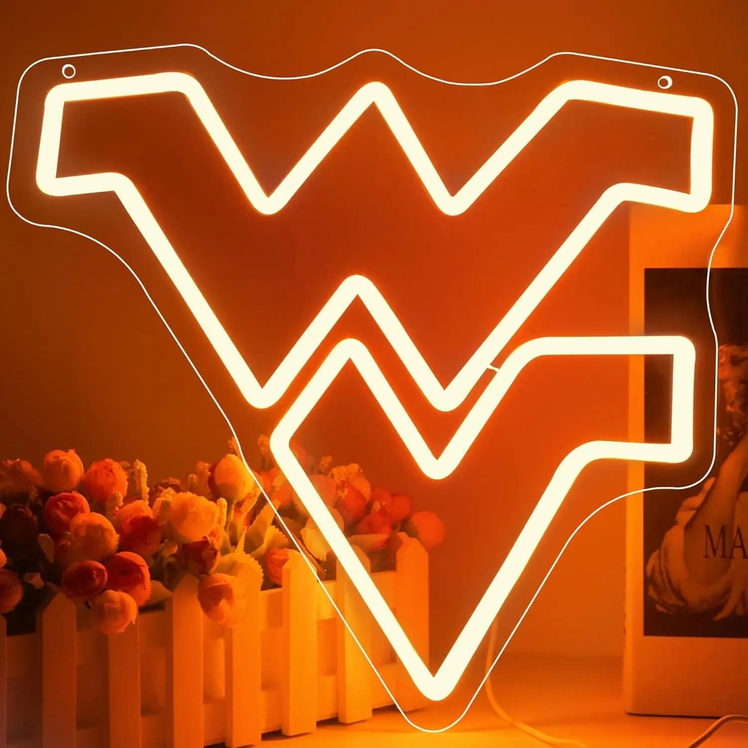 Insegne al Neon USB Dimmerabili per Università, Luci al Neon per Man Cave, Dormitorio, Logo Squadra di Basket, Insegna Luminosa per Studenti Universitari e Appassionati di Sport