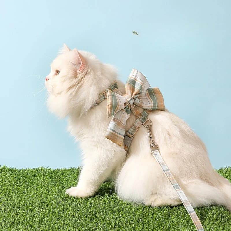 Guinzaglio per animali domestici a forma di fiocco a I JK, guinzaglio per gatti, guinzaglio anti-rottura per cani, collare per animali domestici, guinzaglio per cani dal design semplice e creativo