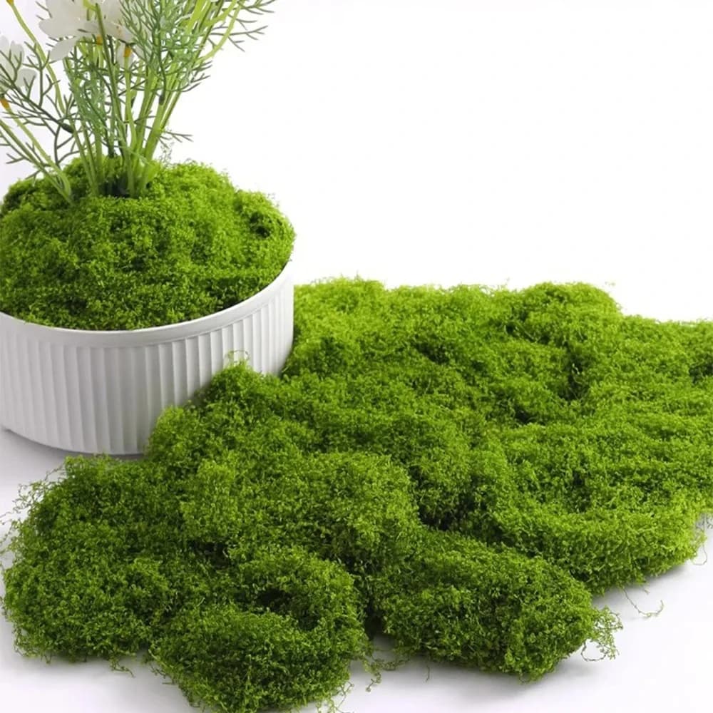 DIY Craft Eternal Life Moss 100g Artificial Fake Grass Mini Landscape Bonsai Green Plants Indoor Garden Table Decor