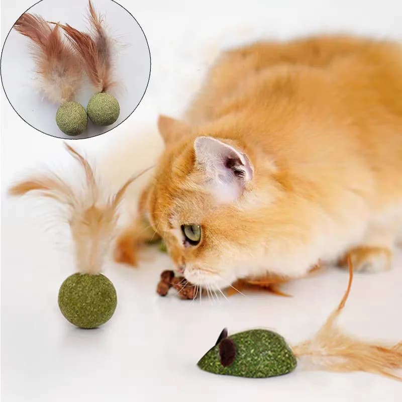 Giocattoli di erba gatta per animali domestici Palla di menta per gatti Palla di erba gatta commestibile Sicurezza del mouse Gatto sano Menta Gatti Gioco di caccia a casa Prodotto giocattolo Denti puliti